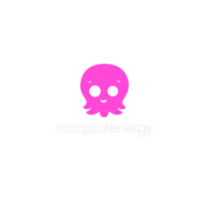The official logo for Octopus Energy, a renewable energy partner of Off Grid Group.